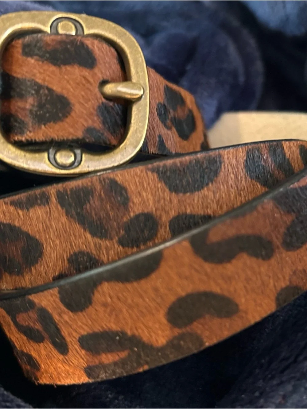 Coldwater Creek Leopard Haircalf Belt with Brass Buckle - Brown/Black - Picture 8 of 11